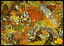 gal/Dessins/Digitaux/Endless_Spiral/_thb_05.jpg