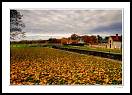 gal/Invites/Philippe_Thauvin/Lumieres_hivernales/_thb_canal.jpg