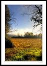 gal/Invites/Philippe_Thauvin/Lumieres_hivernales/_thb_champ_de_mais_2.jpg