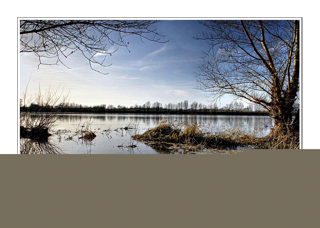 gal/Invites/Philippe_Thauvin/Lumieres_hivernales/bord_de_loire_6.jpg