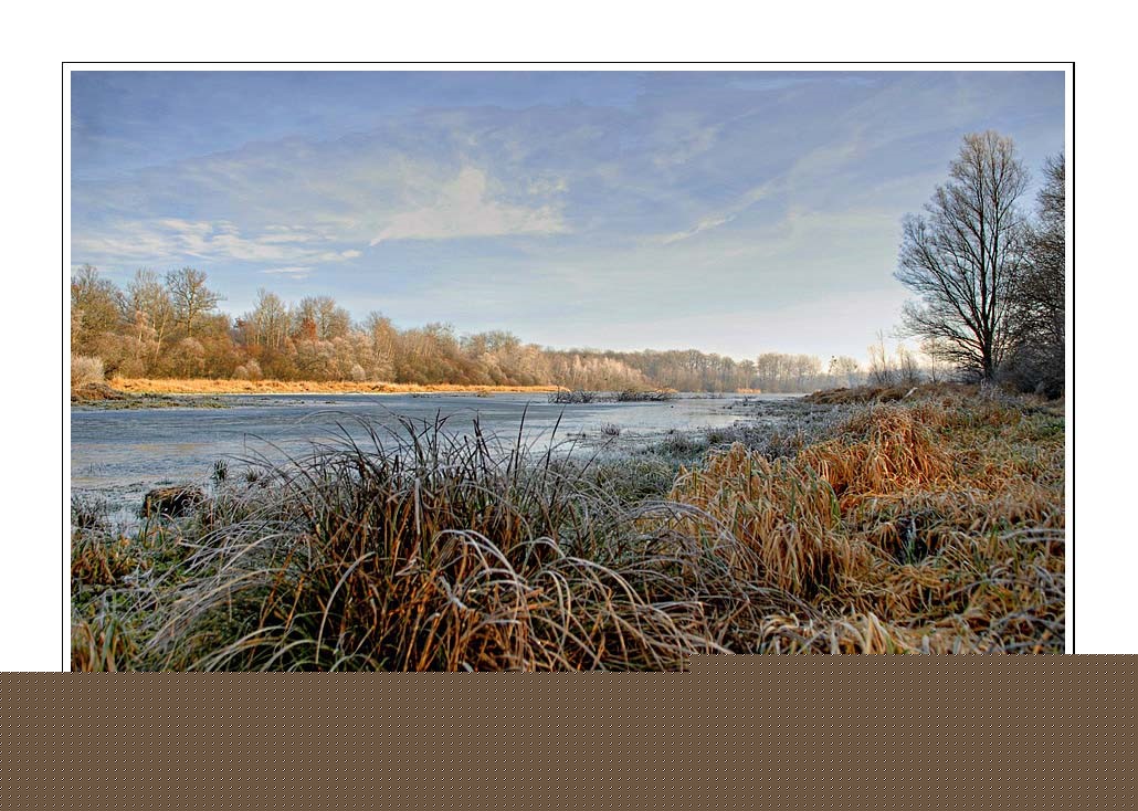 gal/Invites/Philippe_Thauvin/Lumieres_hivernales/givre_9.jpg