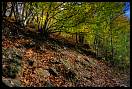 gal/Photographie/Lieux/Etang_en_Automne/_thb_miniere_249-2.jpg
