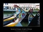 gal/Photographie/Lieux/Portugal/_thb_Aveiro_03_.jpg