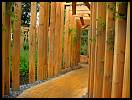 gal/Photographie/Spectacles_expos/Festival_des_Jardins/2013/_thb_chaumont_289.jpg
