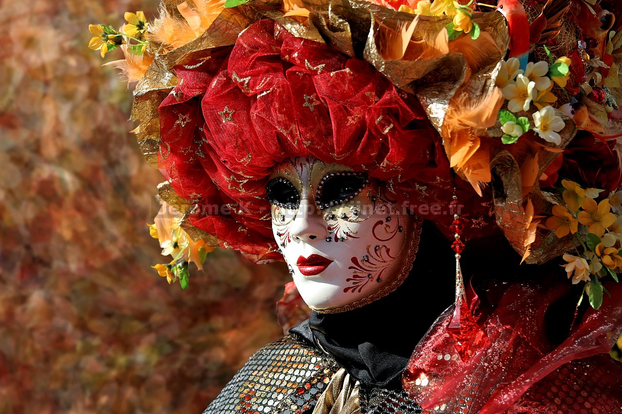 gal/Photographie/fonds_d_ecran/carnaval_venitien/masque_2145.jpg