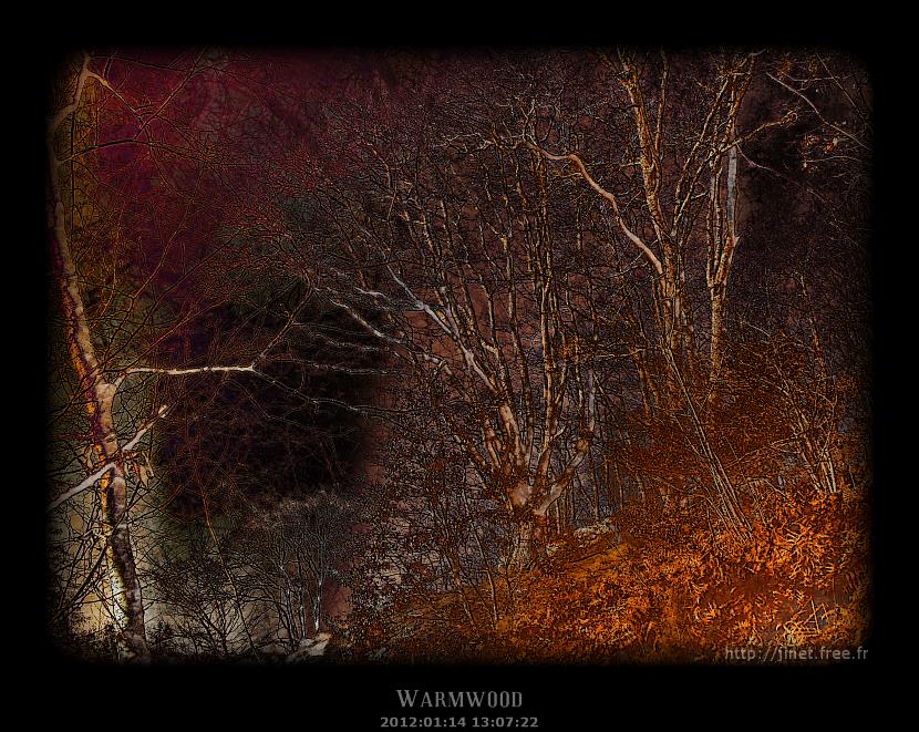 gal/Pixographie/Warmwood/vaux_de_cernay_03.jpg