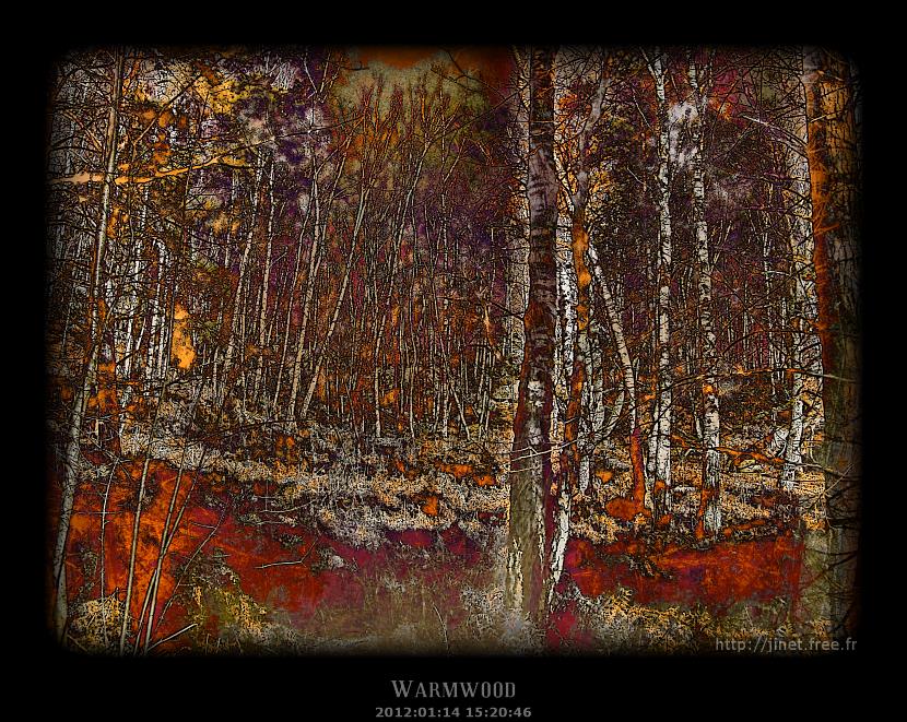 gal/Pixographie/Warmwood/vaux_de_cernay_11.jpg