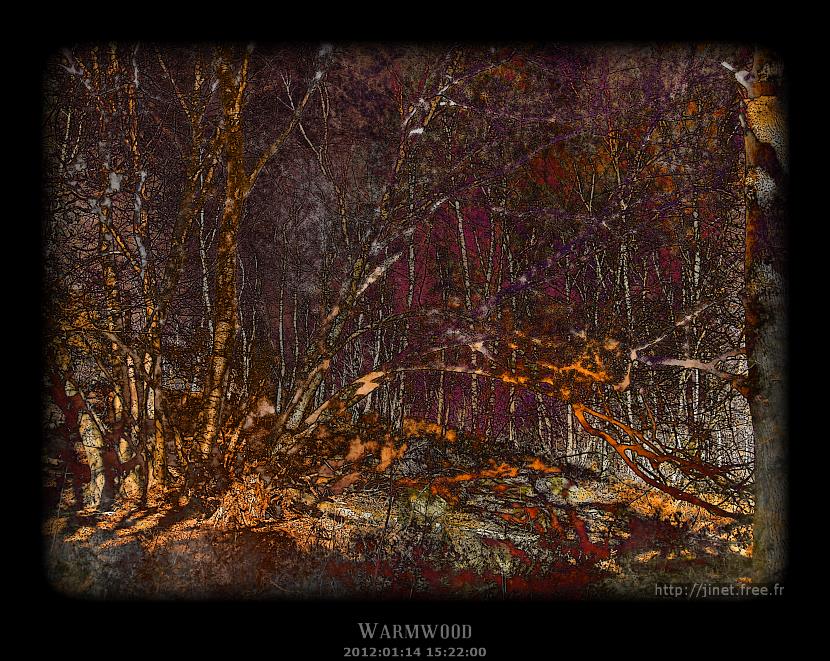 gal/Pixographie/Warmwood/vaux_de_cernay_14.jpg